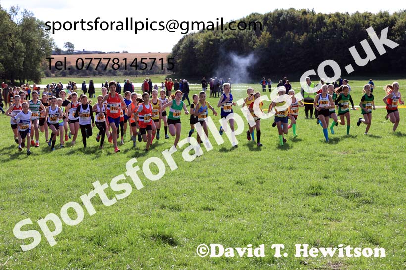 Girls under-13s 2024 Start Fitness NEHL, Thornley Hall Farm, Peterlee, Saturday, September 28th.   Photo: David T. Hewitson/Sports for All Pics